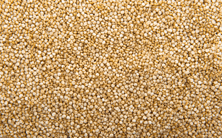 QUINOA