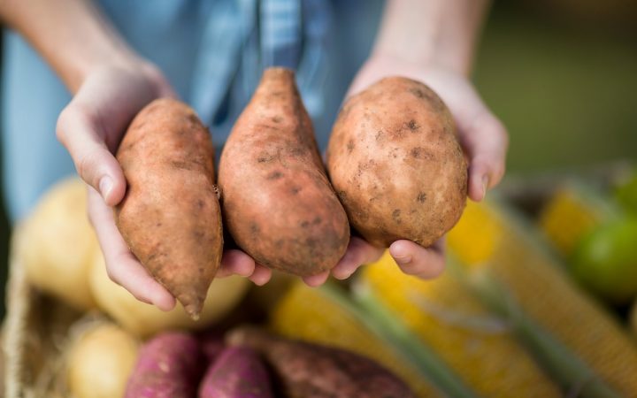 cropped-image-of-woman-holding-sweet-potatoes-Q2ME389