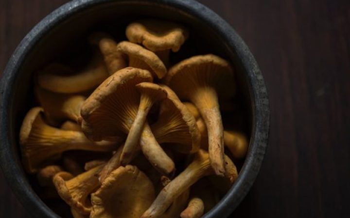 joanna-kosinska-127887-unsplash-e1560978115514