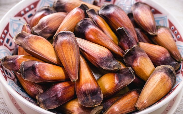 pinhao-seed-typical-brazilian-seed-served-cooked-food-rich-minerals-healthy-consumed-winter